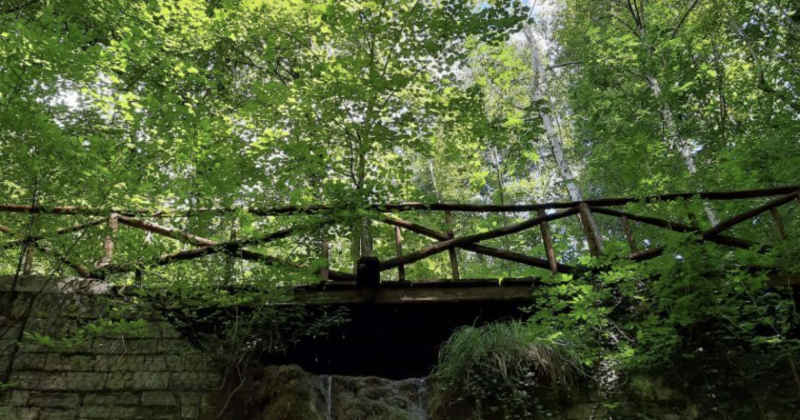 Visite guidate al Giaridno di Valbonella